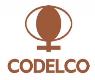 Logo Codelco